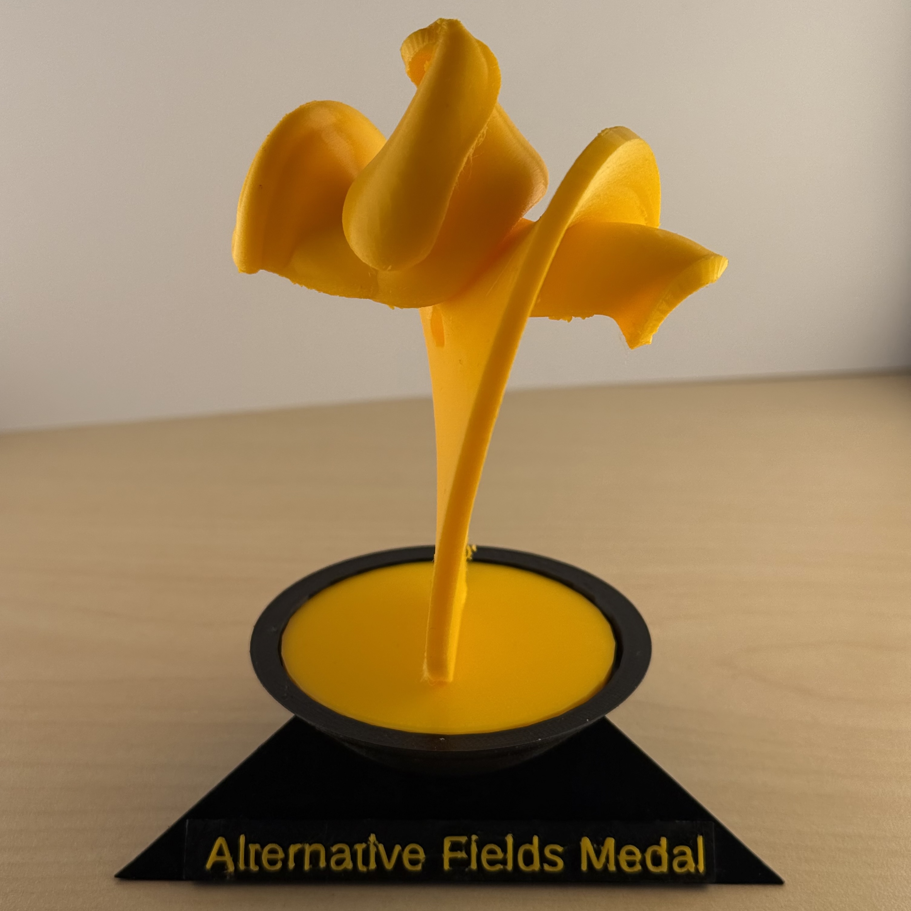 Lorenz manifold trophy
